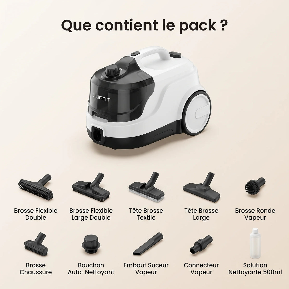 Aspirateur lavant vapeur Vesta — vue 10